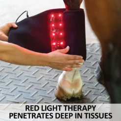 EquiCare LED Therapy® Red Light - Equine Kit And Pairs -Schneiders Shop 42822c feature b overlay