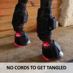EquiCare LED Therapy® Red Light - Equine Kit And Pairs -Schneiders Shop 42822c feature d overlay
