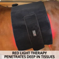 EquiCare LED Therapy® Red Light - Single Wraps -Schneiders Shop 42826c feature b overlay