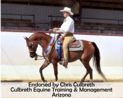 EquiCare LED Therapy® Red Light - Single Wraps -Schneiders Shop 42826c prof 1 overlay