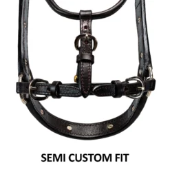 Billy Royal Gold Standard Fitted Show Halter For Horses -Schneiders Shop 43247 feature c overlay