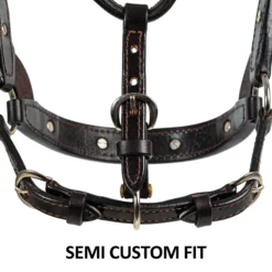 Billy Royal Emma Fitted Show Halter For Horses -Schneiders Shop 43273 feature d overlay