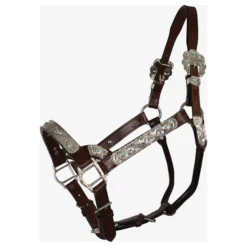 Double S Dixie Horse Show Halter With Lead -Schneiders Shop 43334 darkoil