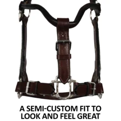 Double S Dixie Horse Show Halter With Lead -Schneiders Shop 43334 feature b overlay
