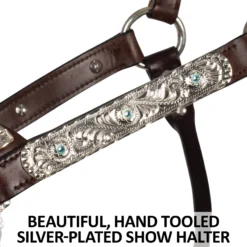 Double S Dixie Horse Show Halter With Lead -Schneiders Shop 43334 feature c overlay