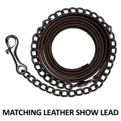 Double S Dixie Horse Show Halter With Lead -Schneiders Shop 43334 feature d overlay