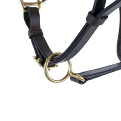 Premier® Premier Leather And Rope Control Halter -Schneiders Shop 43373 alt b