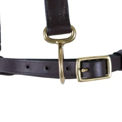 Premier® Premier Leather And Rope Control Halter -Schneiders Shop 43373 alt c