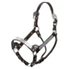 Double S Cassidy Show Halter With Lead