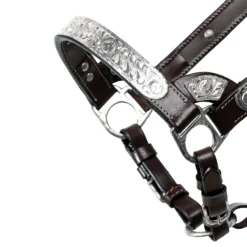 Double S Cassidy Show Halter With Lead -Schneiders Shop 43831 alt a