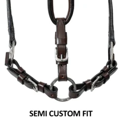 Double S Cassidy Show Halter With Lead -Schneiders Shop 43831 feature b overlay