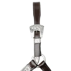 Double S Felicity Show Halter With Lead -Schneiders Shop 43832 alt b