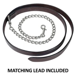 Double S Felicity Show Halter With Lead -Schneiders Shop 43832 feature d overlay