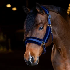 Dura-Tech® Fleece Lined Nylon Halter