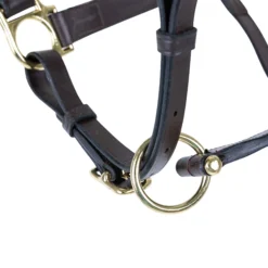 Premier® Premier Lancaster Fixed Throat Leather Halter -Schneiders Shop 43867 alt b