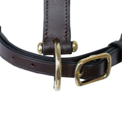 Premier® Premier Lancaster Fixed Throat Leather Halter -Schneiders Shop 43867 alt c
