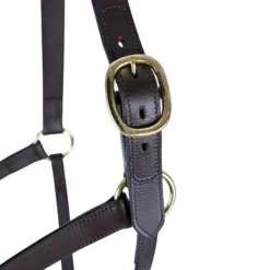 Premier® Premier Lancaster Fixed Throat Leather Halter -Schneiders Shop 43867 alt d