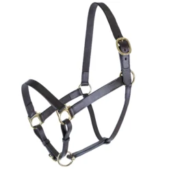 Premier® Premier Lancaster Fixed Throat Leather Halter -Schneiders Shop 43867 havana