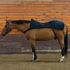 EquiCare LED Therapy® Red Light Back And Hip Pad