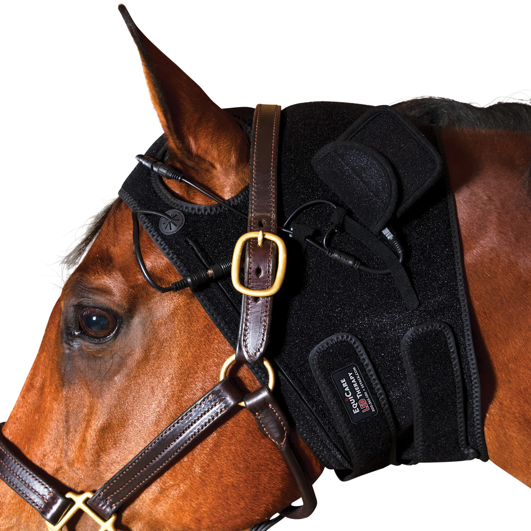 EquiCare LED Therapy® Red Light Calming Horse Bonnet 1 EquiCare LED Therapy® Red Light Calming Horse Bonnet