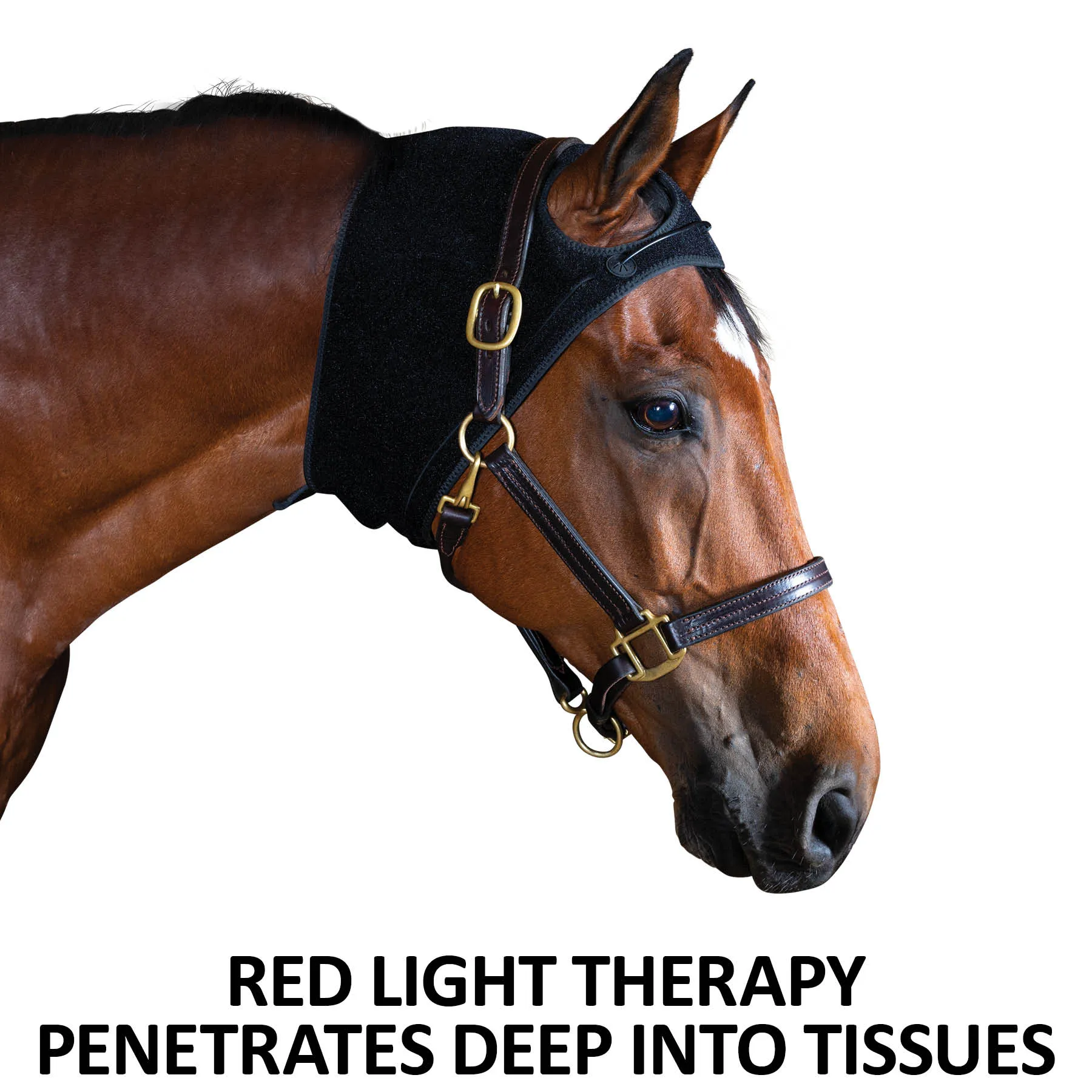 EquiCare LED Therapy® Red Light Calming Horse Bonnet 3 EquiCare LED Therapy® Red Light Calming Horse Bonnet - Image 3
