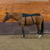 Dura-Tech® Horse Back And Hip Cooling Gel Pad