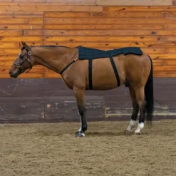 Dura-Tech® Horse Back And Hip Cooling Gel Pad