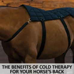 Dura-Tech® Horse Back And Hip Cooling Gel Pad -Schneiders Shop 44235 feature d overlay