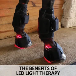 EquiCare LED Therapy® Red Light Wraps, Bell Boots, And Wand Kit -Schneiders Shop 44586 feature d overlay