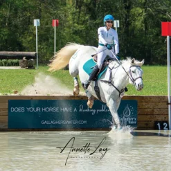 Gallagher's Water™ -Schneiders Shop 45490 alt g