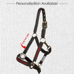 Dura-Tech Deluxe Fully Padded Nylon Halter For Horses -Schneiders Shop 60052